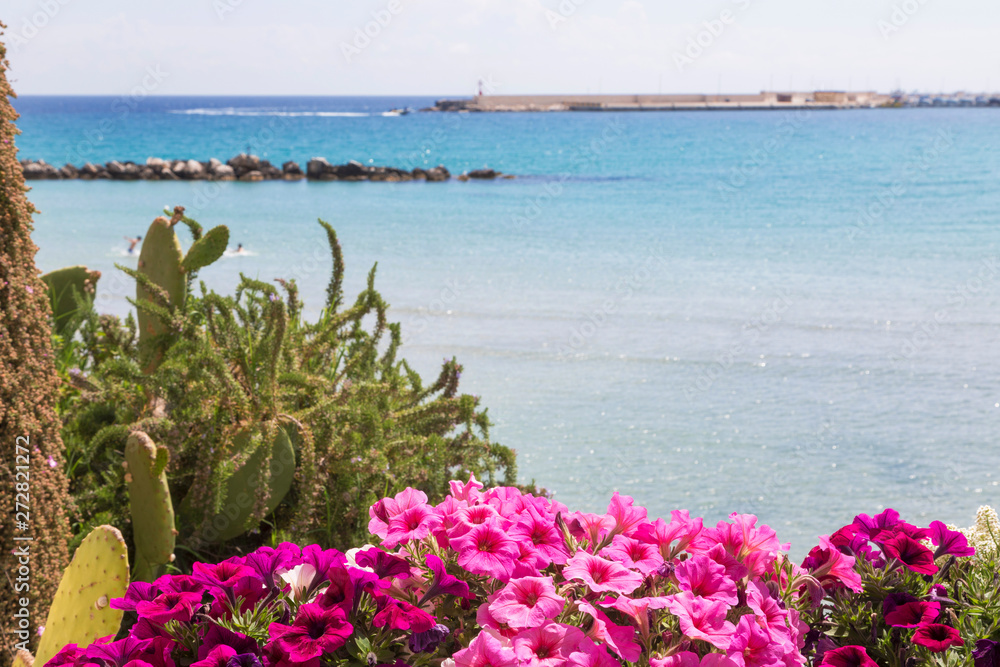 Panorama con mare e fiori - Otranto - Salento