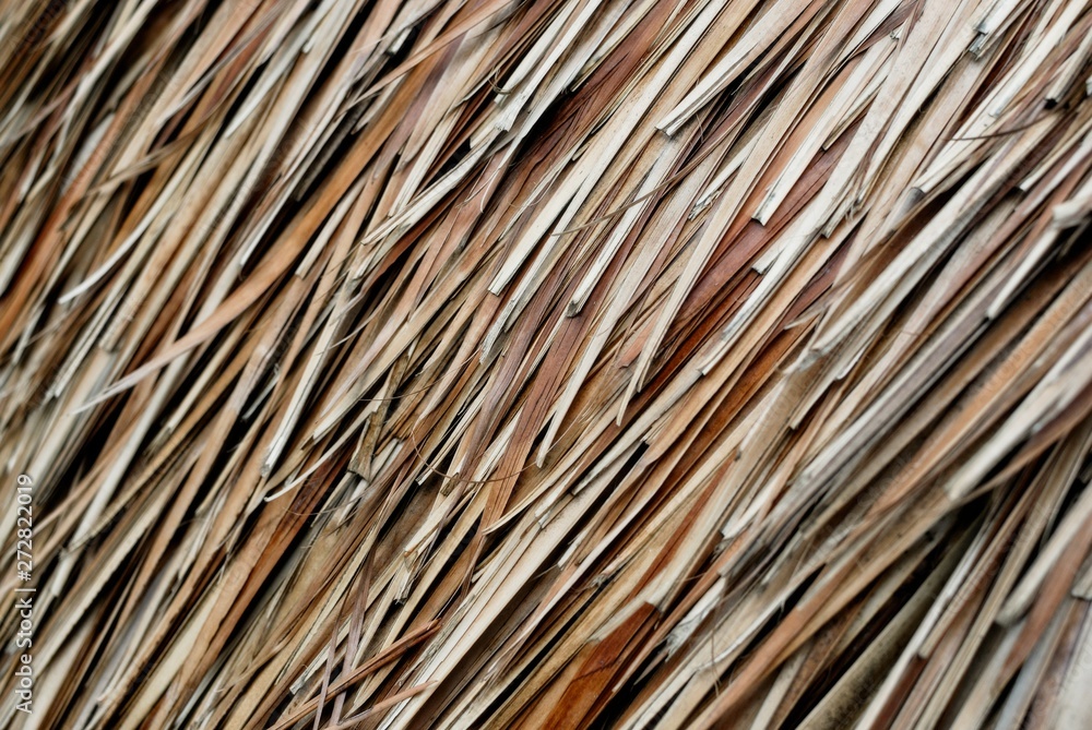 Thatched roof. Thatched roof.