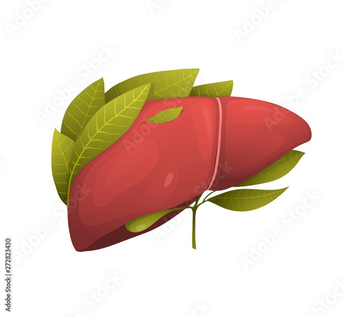 Healthy human liver metaphor flat vector illustration