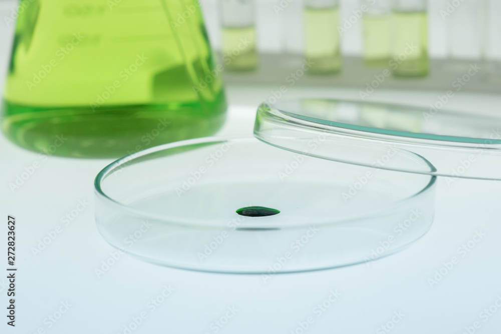 Pipettes take samples into the petri dish. Pipettes take samples into the petri dish.