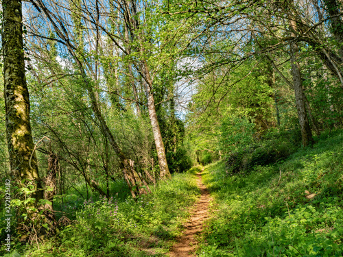 Chemin en for  t