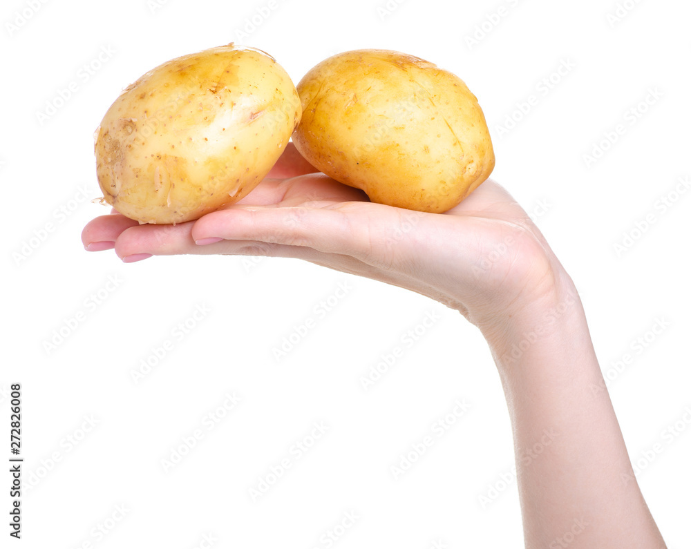 potatoes in hand on white background isolation potatoes in hand on white background isolation