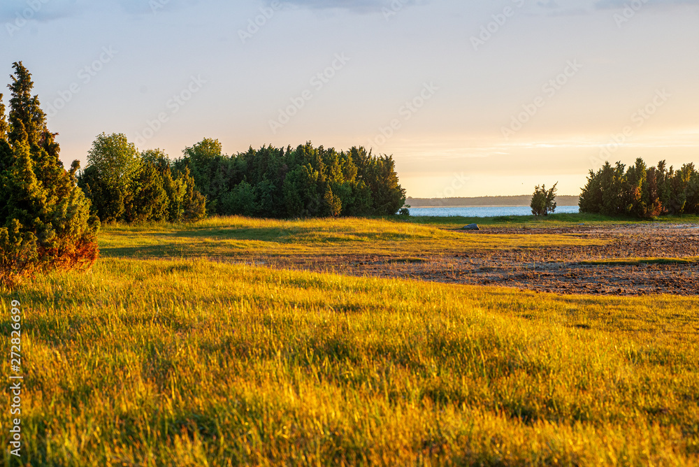 Obraz premium empty countryside life landscape in late autumn