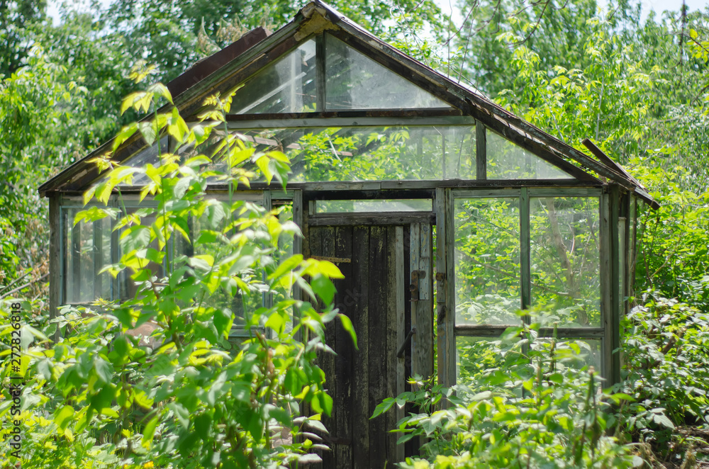 abandoned greenhouse in overgrown forest abandoned greenhouse in overgrown forest