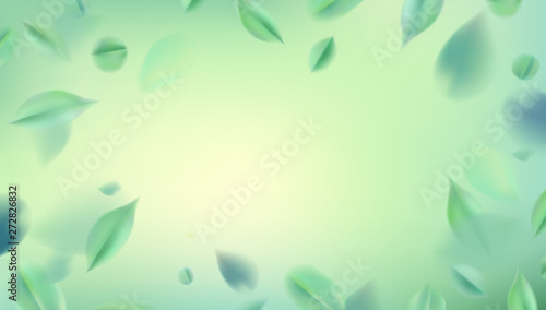 Nature abstract background with spring green leaves vector illustration