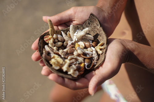 Variety of oceanic and seashells on the hand in the rays of the sun. Summer background for design. Stock photo