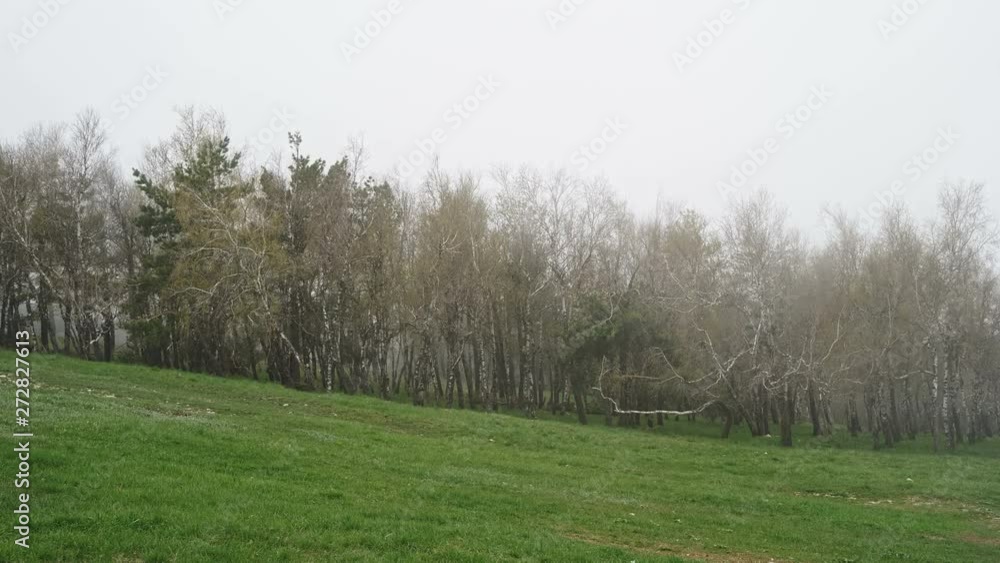 Fog in the mountains on the background of trees. Republic of Crimea, Russia. Fog in the mountains on the background of trees. Republic of Crimea, Russia.
