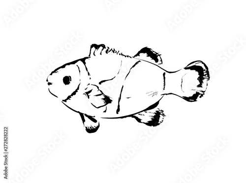 シマシマ しましま 魚 海 観賞魚 ダイビング アクアマリン 南の海 白バック 白背景 手描き 手書き 筆書き 筆描き カット 挿絵 素材 イラスト イラストレーション クマノミ くまのみ ニモ カクレクマノミ かくれくまのみ 線画 白黒 モノクロ Stock イラスト Adobe Stock シマシマ しましま 魚 海 観賞魚 ダイビング アクアマリン 南の海 白バック 白背景 手描き 手書き 筆書き 筆描き カット 挿絵 素材 イラスト イラストレーション クマノミ くまのみ ニモ カクレクマノミ かくれくまのみ 線画 白黒 モノクロ Stock イラスト Adobe Stock