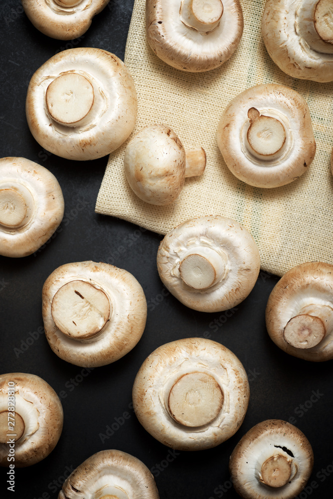 Fototapeta premium Mushrooms close up