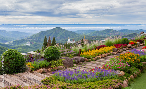 Colorful flowers blooming on top of mountain with landscape view in the morning.