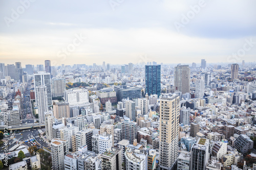 Aerial view of Tokyo cityscape from Tokyo Tower. © FotoGraphic