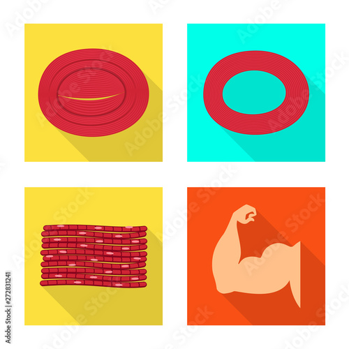 Vector design of muscle and cells sign. Collection of muscle and anatomy stock symbol for web.