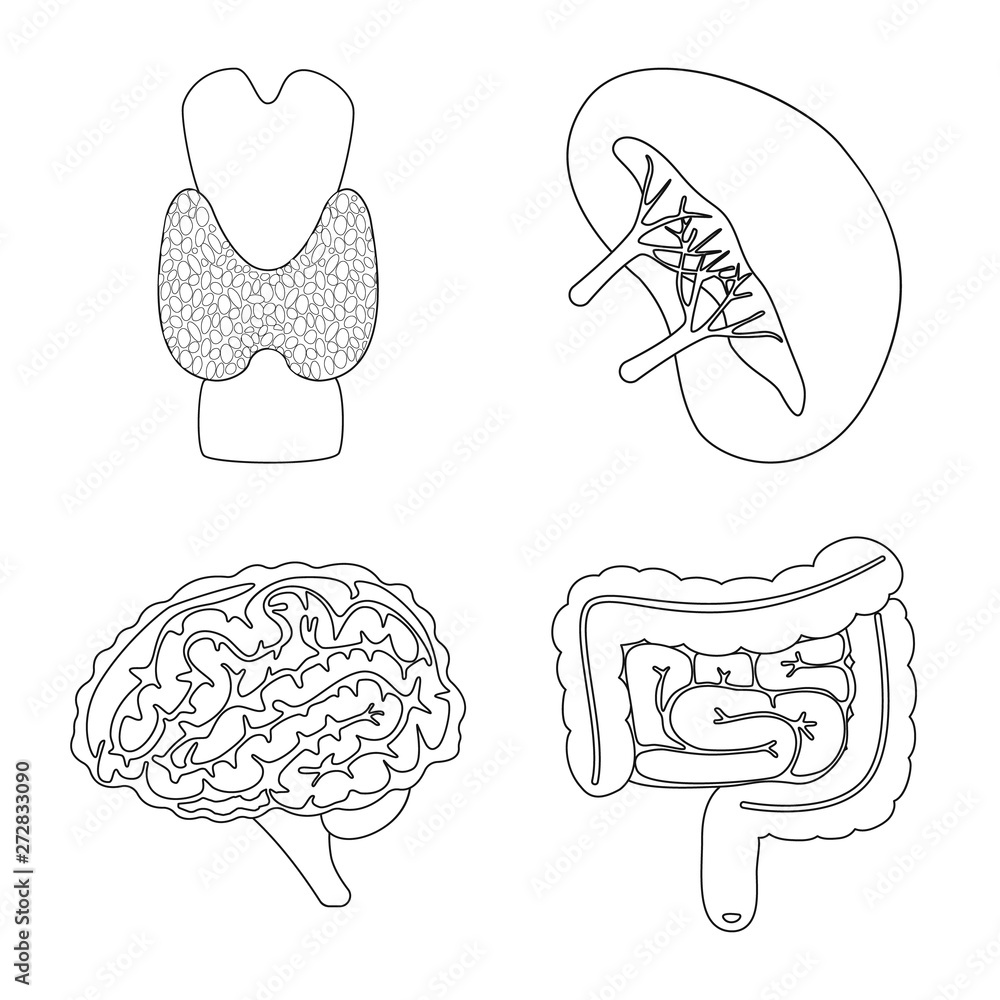 Isolated object of anatomy and organ logo. Set of anatomy and medical stock vector illustration. Isolated object of anatomy and organ logo. Set of anatomy and medical stock vector illustration.