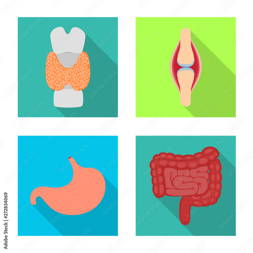 Vector illustration of human and health sign. Set of human and scientific stock vector illustration. Vector illustration of human and health sign. Set of human and scientific stock vector illustration.