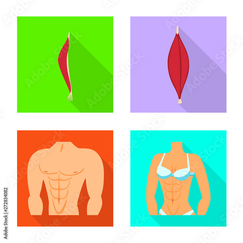 Vector illustration of muscle and cells sign. Set of muscle and anatomy vector icon for stock.
