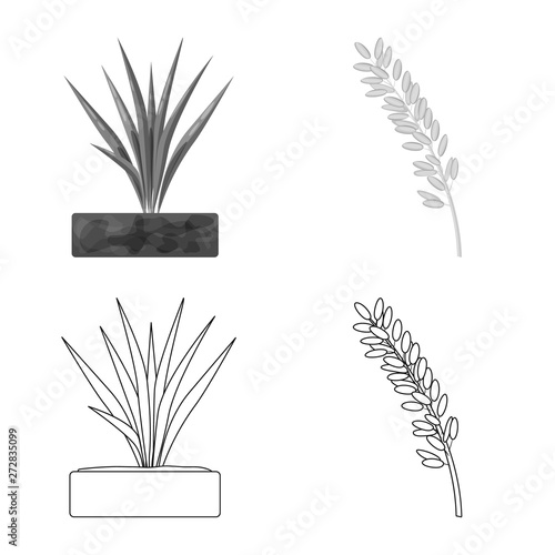 Vector illustration of crop and ecological symbol. Set of crop and cooking stock vector illustration.