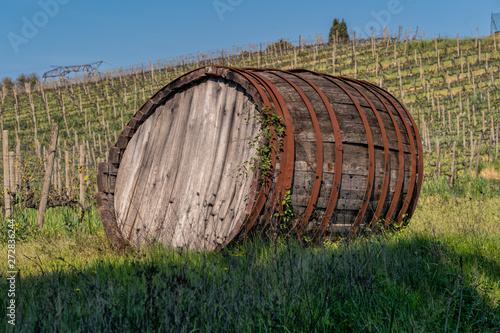 Vine Barrel at a field in Tuscany Italy