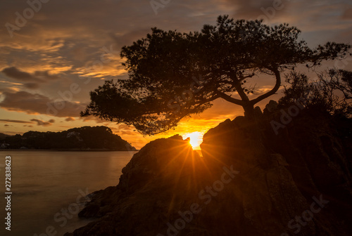 Fenals beach in Lloret de Mar at sunrise photo