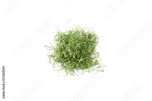 Фотография Pile of dried natural herbal remedy called Equisetum arvense the field horsetail or common horsetail isolated on white