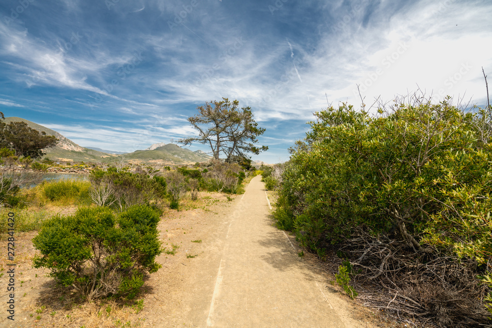 An Elfin Forest and Fragile Area, Marina Point Loop Trail loop trail located near Morro Bay, California offers the chance to see wildlife. An Elfin Forest and Fragile Area, Marina Point Loop Trail loop trail located near Morro Bay, California offers the chance to see wildlife.
