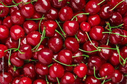 Vászonkép Close up of pile of ripe cherries with stalks and leaves