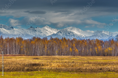 Forest in autumn colors and mountains in the background. Peninsula Kamchatka, Russia.