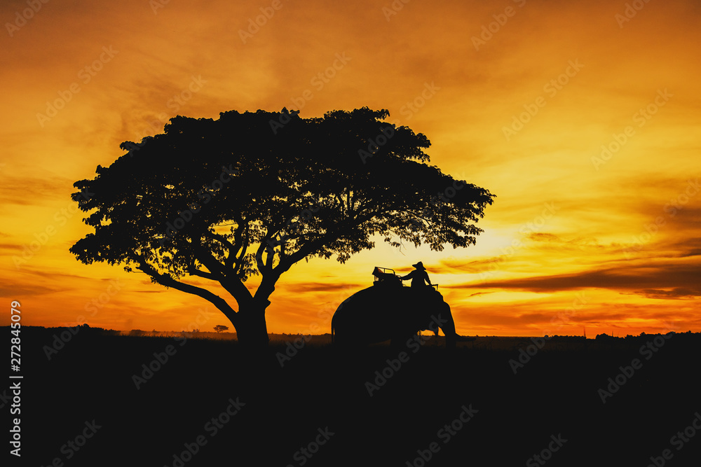 Silhouette, Lifestyle of people and elephants.