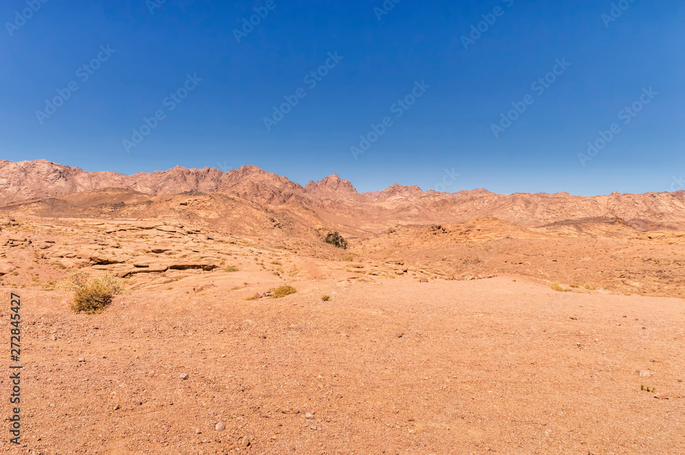 desert landscape, plain and mountains of red sandstone covered with sparse vegetation