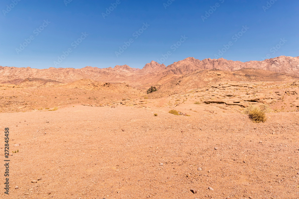 desert landscape, plain and mountains of red sandstone covered with sparse vegetation