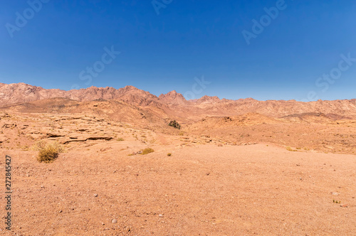 desert landscape  plain and mountains of red sandstone covered with sparse vegetation