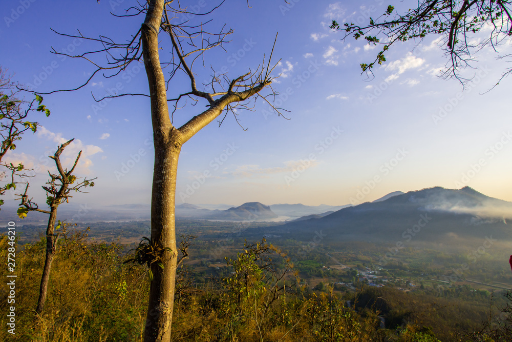 Beautiful sunrise and fog in Phu Thok Chiang Khan District, Loei Province, Thailand.