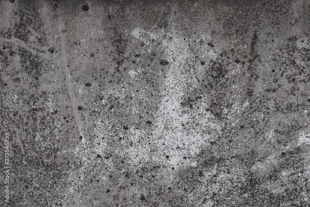Concrete wall infected with fungus Concrete wall infected with fungus