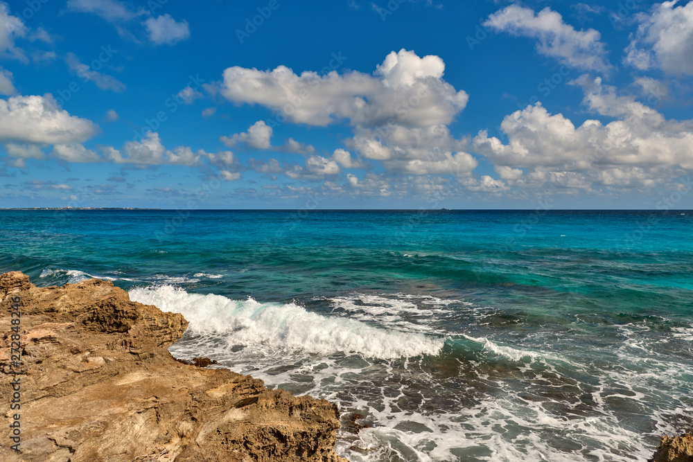 Paradise nature, heron and summer on the tropical beach.