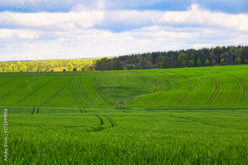 field landscape
