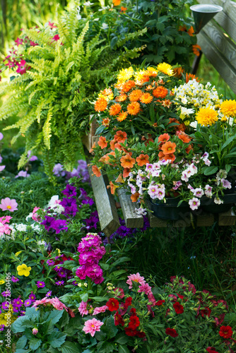 Many colorful flowers on a garden bench
