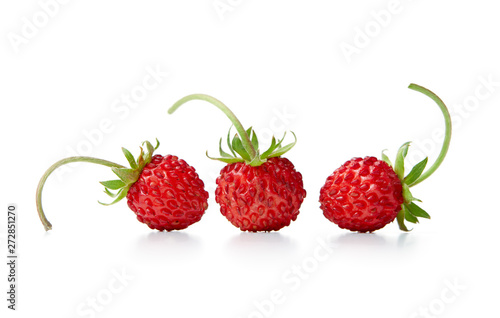 Slika na platnu Three wild strawberries