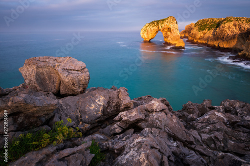 Sunset at bizarre Rocks of Castro de las gaviotas with stones and flowers in foreground, Northern Spain © sg-naturephoto.com 