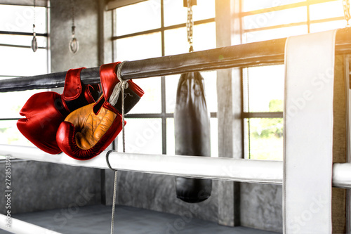 Hanging boxing gloves for training in the gym