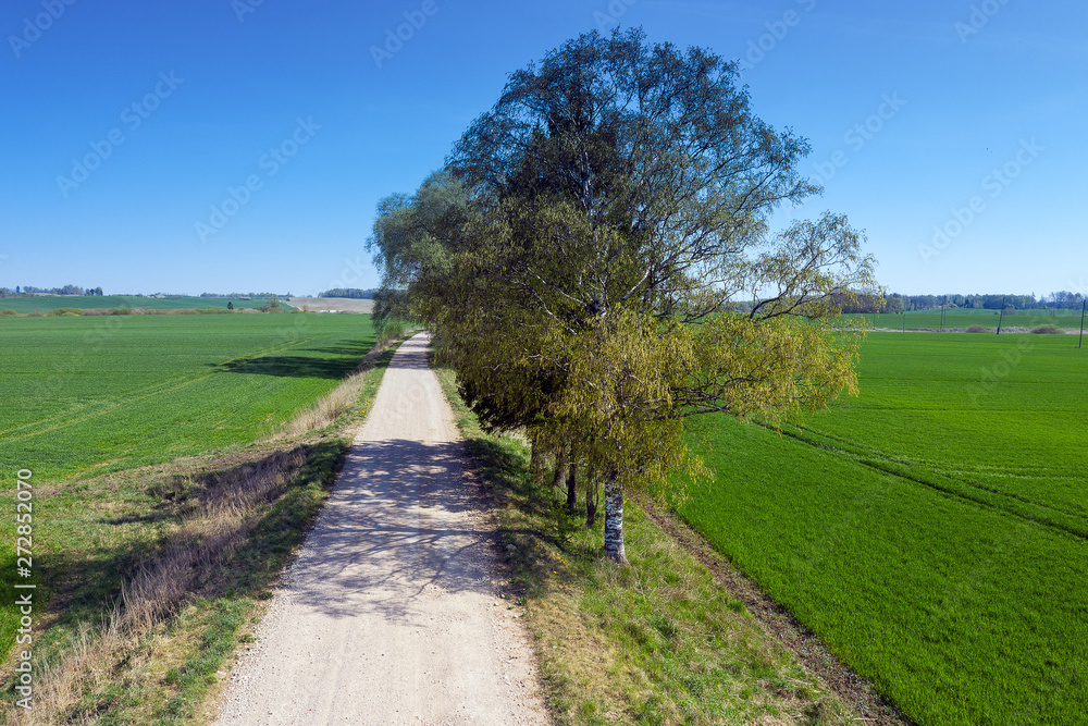 Gravel road in rural landscape.