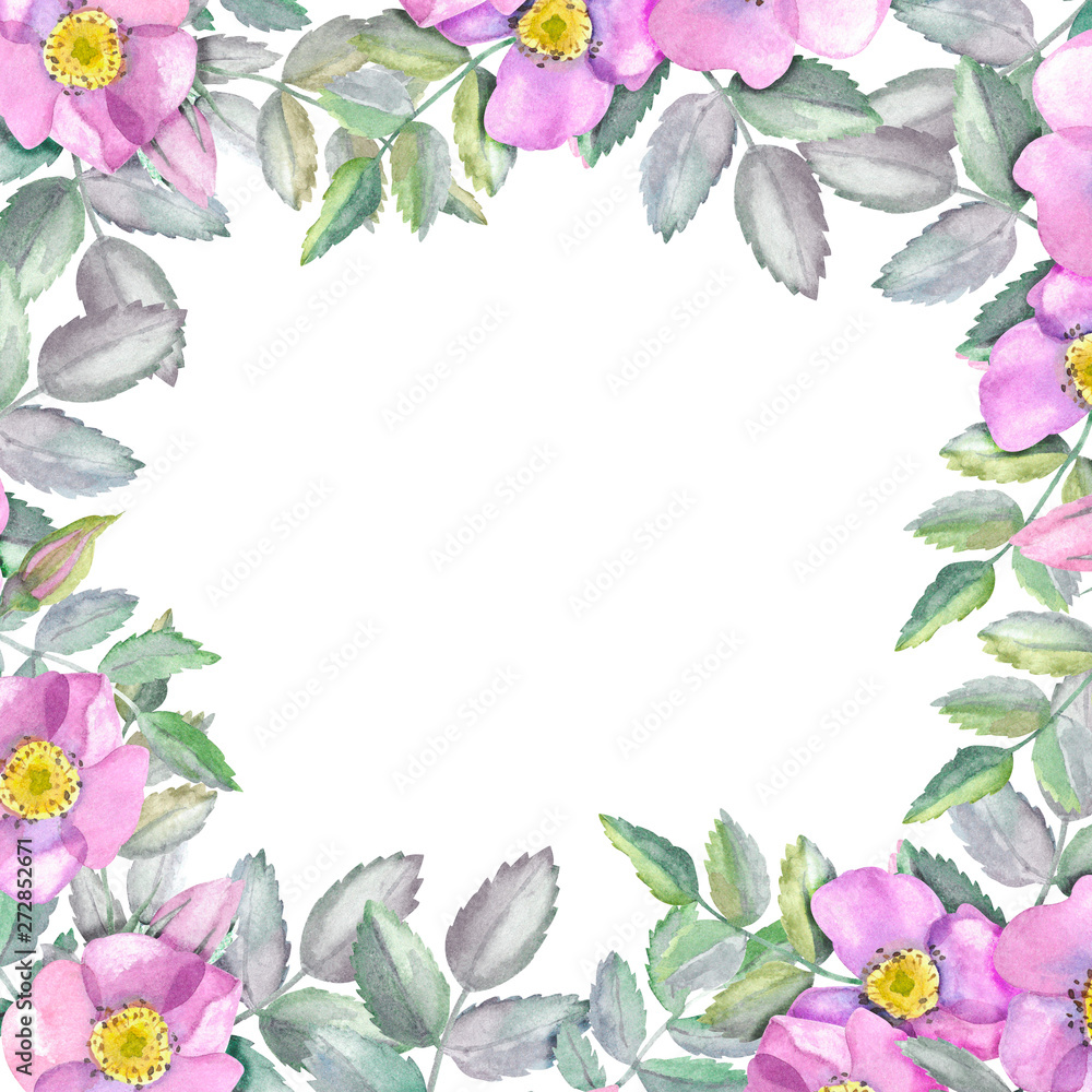 Naklejka premium Square frame of wild roses and leaves. Rosehip flowers for the design of invitations, greeting cards or post in social networks 