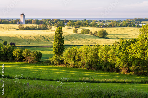 Rural landscape in summer at the baltic sea with fields, bushes and hedges and a granary in the background, Schleswig-Holstein