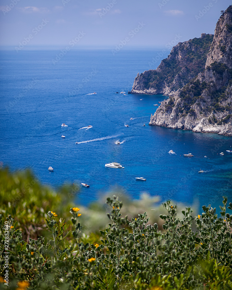 View of boats from a high vantage point from the beautiful island of Capri. Landscape scene with sharp focus of background and foreground of leaves and plants