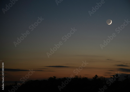 THE MOON AND SILHOUETTE OF TREES DURING DUSK 