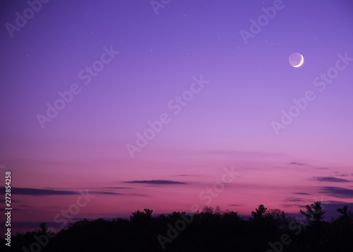 THE MOON AND SILHOUETTE OF TREES DURING DUSK 