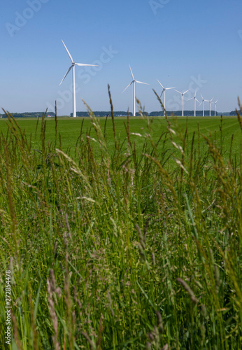 Windmills in polder Netherlands