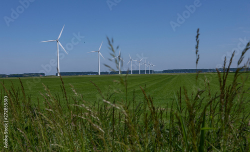 Windmills in Dutch Polder Netherlands. Green energy.