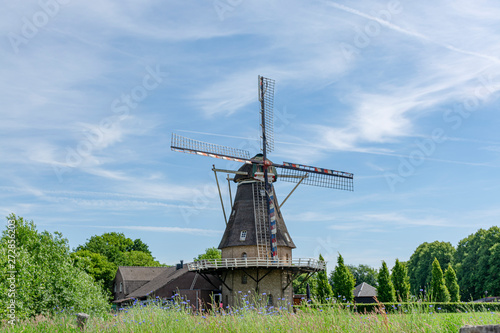 Dutch windmill and corn field with blue flowers in summer, Oerle, Netherlands