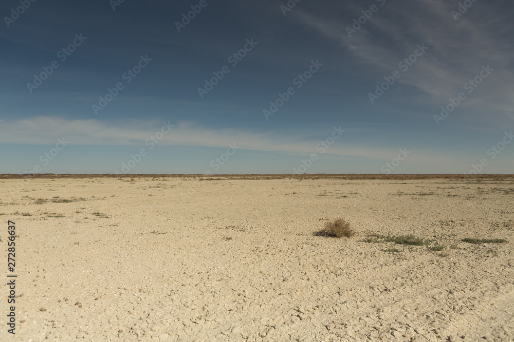 Consequences of Aral sea catastrophe. Sandy salt desert on the place of former bottom of Aral sea.