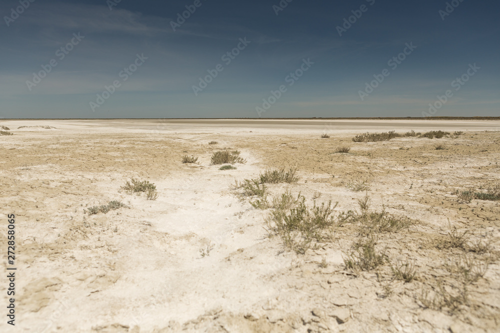 Consequences of Aral sea catastrophe. Sandy salt desert on the place of former bottom of Aral sea. Consequences of Aral sea catastrophe. Sandy salt desert on the place of former bottom of Aral sea.