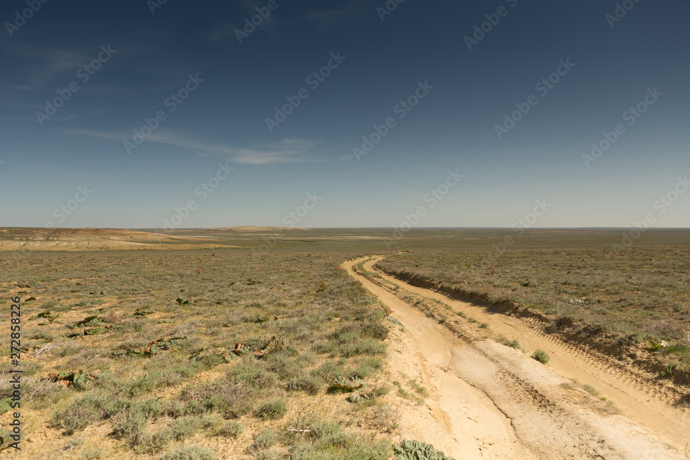 Consequences of the Aral sea disaster.Steppe and sand on the site of the former bottom of the Aral sea.Kazakhstan